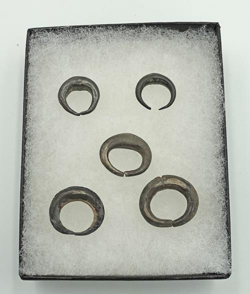 Lot 1337 image