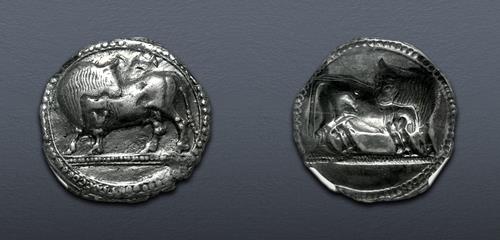Lot 19 image