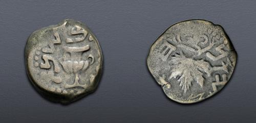 Lot 215 image