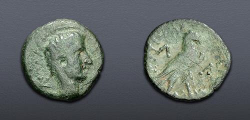 Lot 308 image