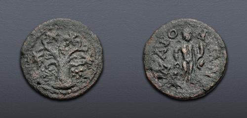 Lot 335 image