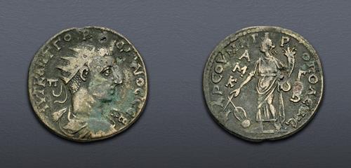 Lot 366 image