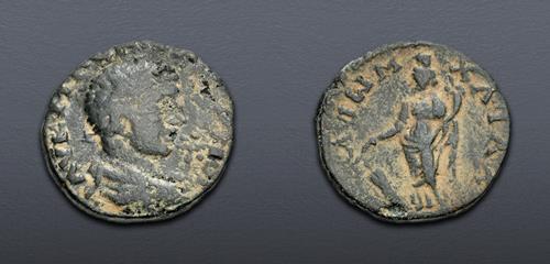 Lot 509 image
