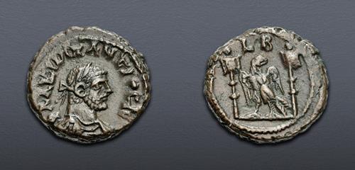 Lot 556 image