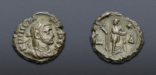 Lot 558 image