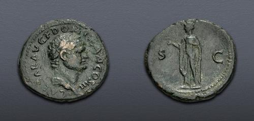Lot 737 image