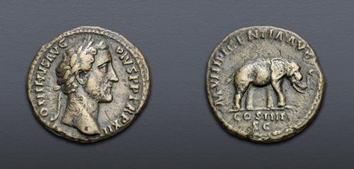 Lot 779 image