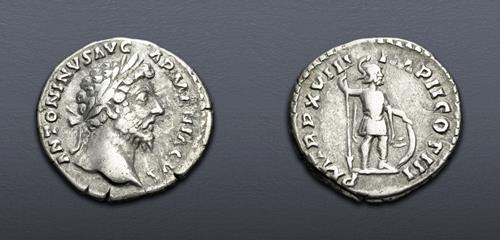 Lot 785 image