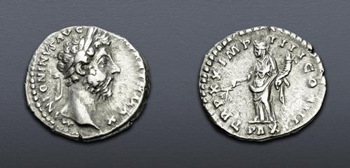 Lot 787 image