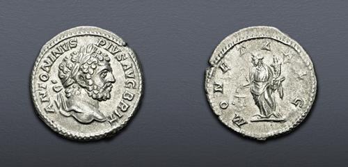 Lot 807 image