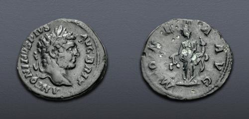 Lot 808 image