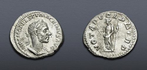 Lot 813 image