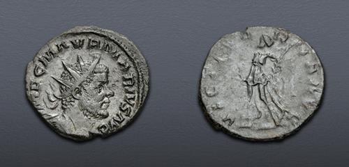 Lot 851 image