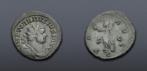 Lot 883 image