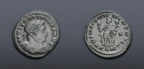 Lot 917 image