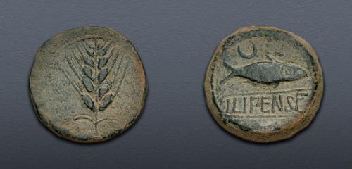 Lot 5 image