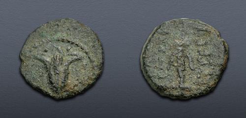Lot 46 image