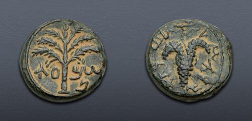 Lot 47 image