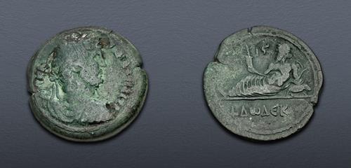 Lot 195 image