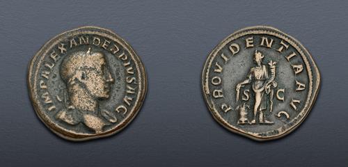 Lot 255 image