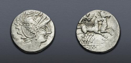 Lot 9 image