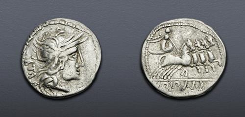 Lot 11 image