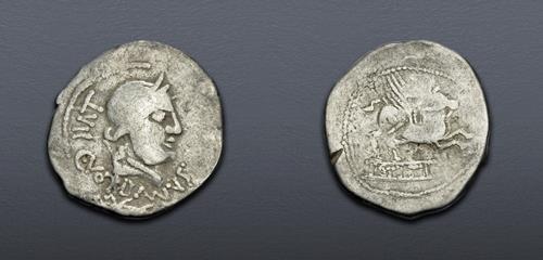 Lot 12 image