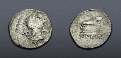 Lot 14 image