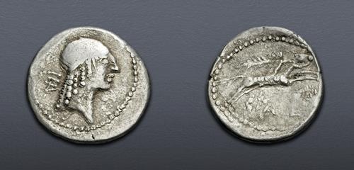 Lot 15 image