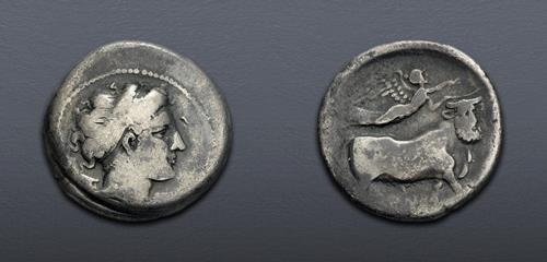 Lot 24 image