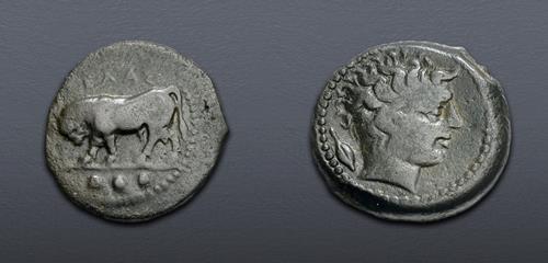 Lot 43 image