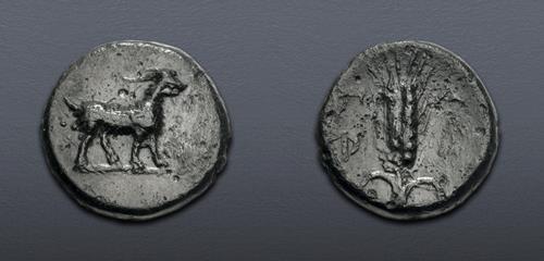 Lot 185 image