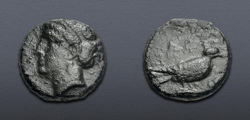 Lot 344 image
