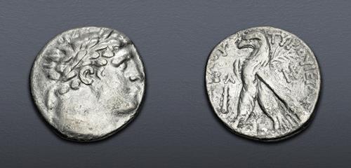 Lot 404 image