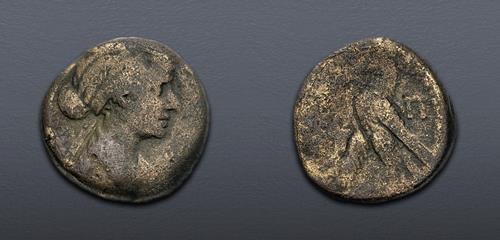 Lot 433 image