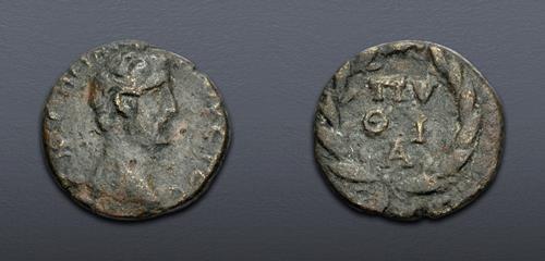 Lot 512 image