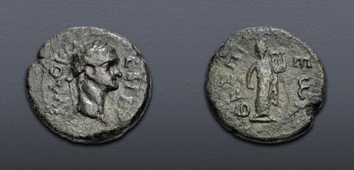 Lot 513 image