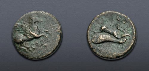 Lot 514 image