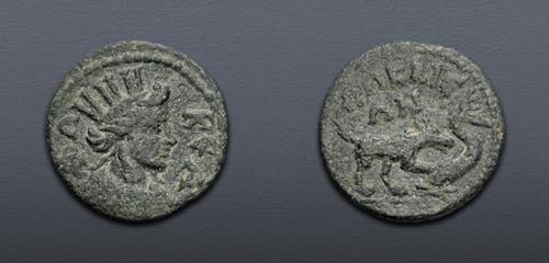 Lot 554 image