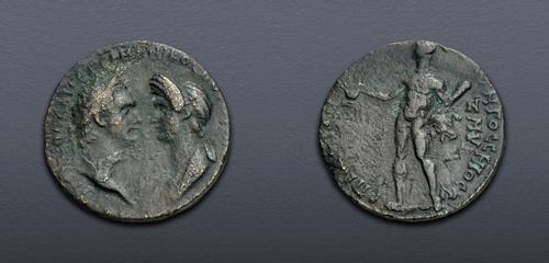 Lot 556 image