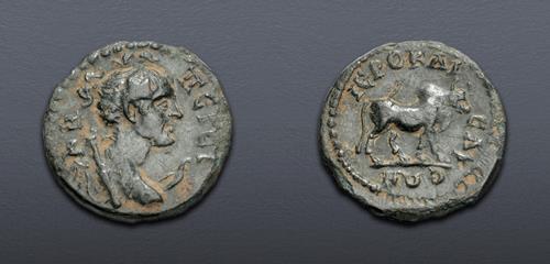 Lot 562 image