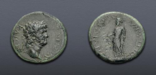 Lot 566 image