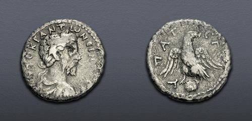 Lot 599 image