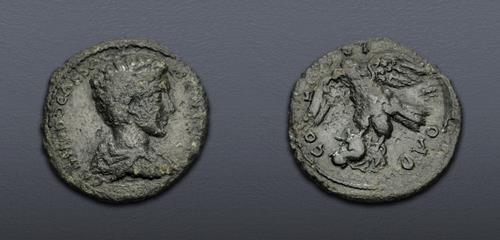Lot 367 image
