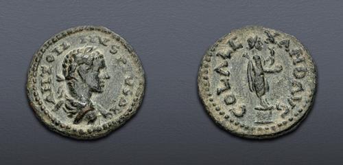 Lot 368 image