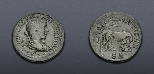 Lot 423 image