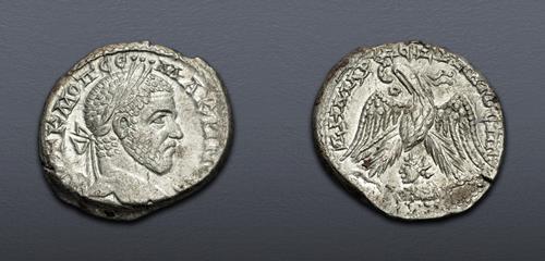 Lot 504 image