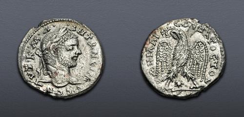 Lot 513 image
