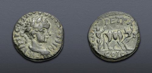 Lot 555 image