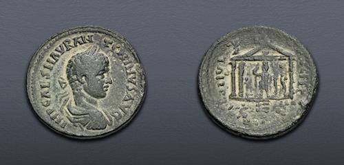 Lot 557 image